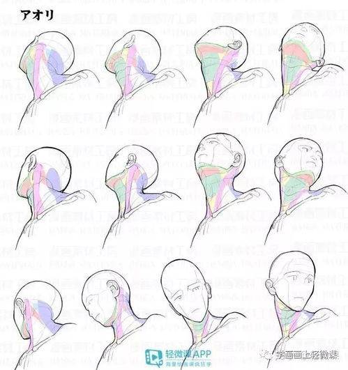 不會畫頭像？這100張高清素材趕緊收藏，平面設計必備！