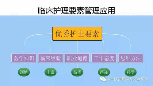 思維導(dǎo)圖在臨床管理中的應(yīng)用 賦能精準(zhǔn)醫(yī)療與高效協(xié)作
